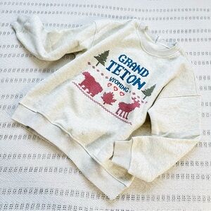 Altar'd State Light Grey Grand Teton Wyoming Embroidered Graphic warm Sweatshirt